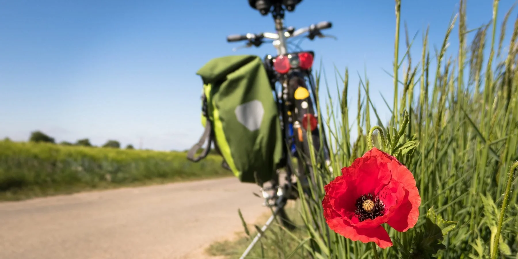 Cycling from Tiny House Alba