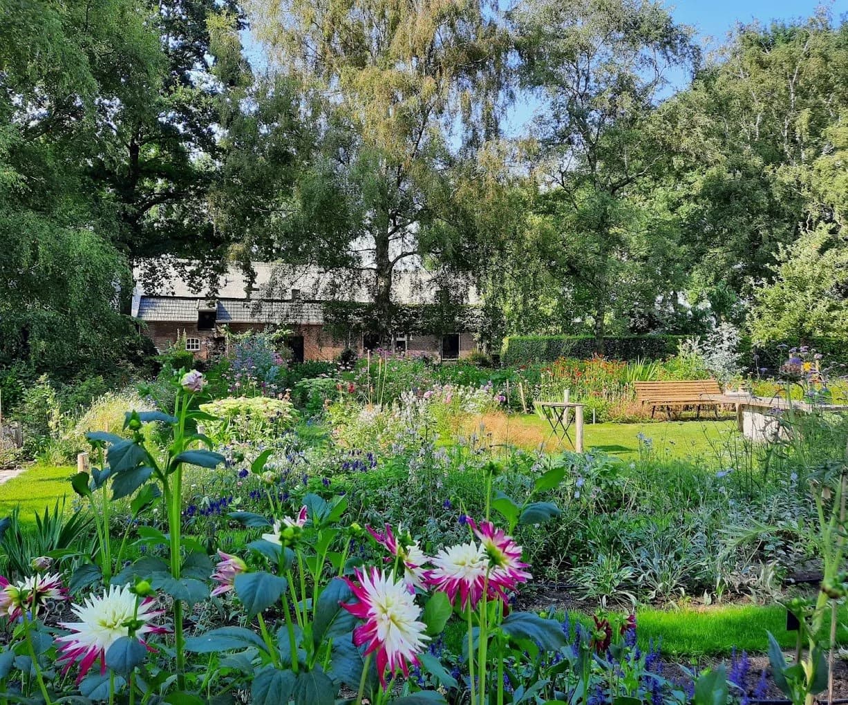 Pick-your-own garden and studio Corien Veron