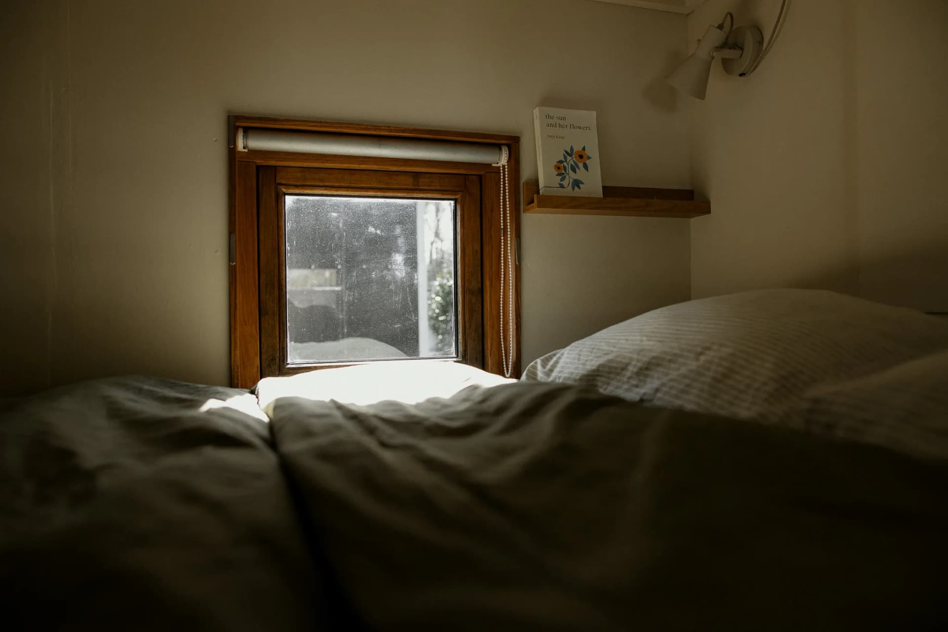 Tiny House Alba impressie 12
