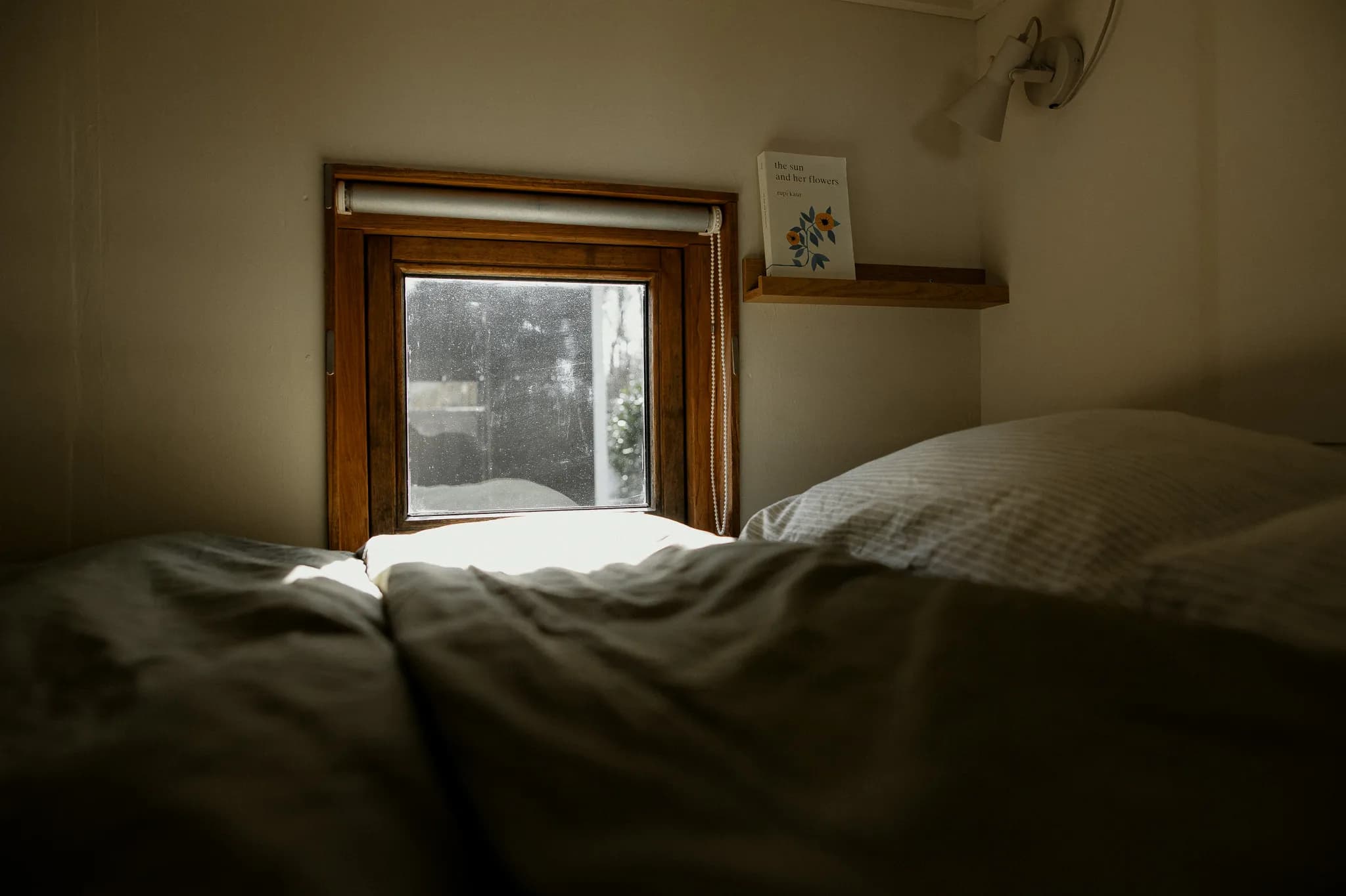 Tiny House Alba impression 12